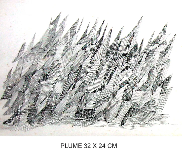 Plume 10